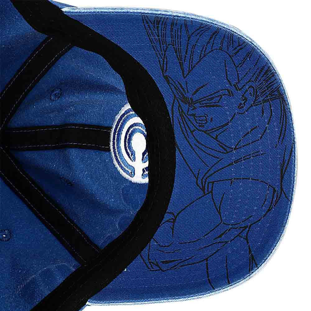 Dragon Ball Z Capsule Corp Cap