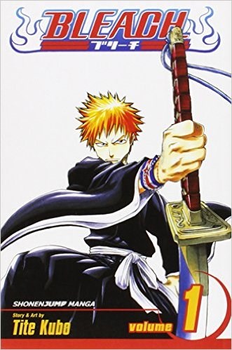 Bleach, Vol. 1